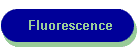 Fluorescence
